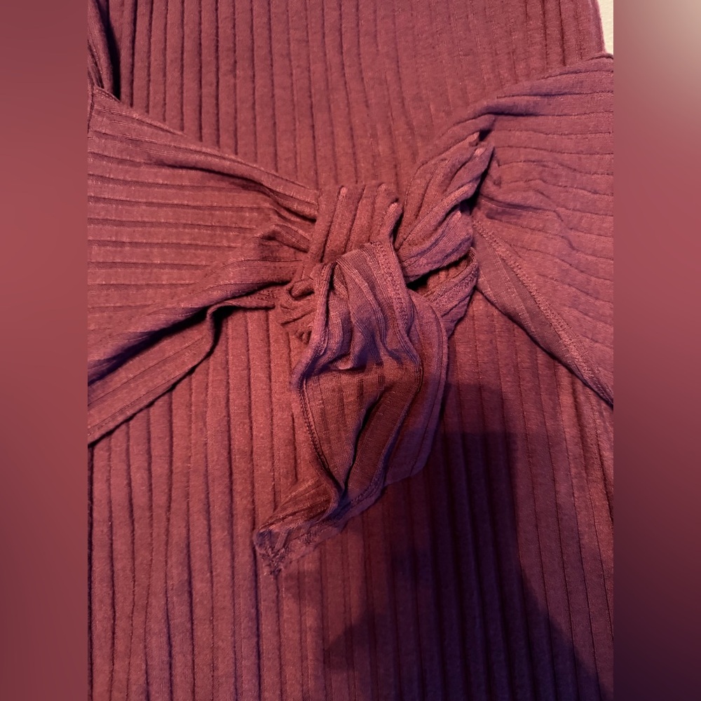 Michael Stars Sleeveless Burgundy Dress - Picture 6 of 11